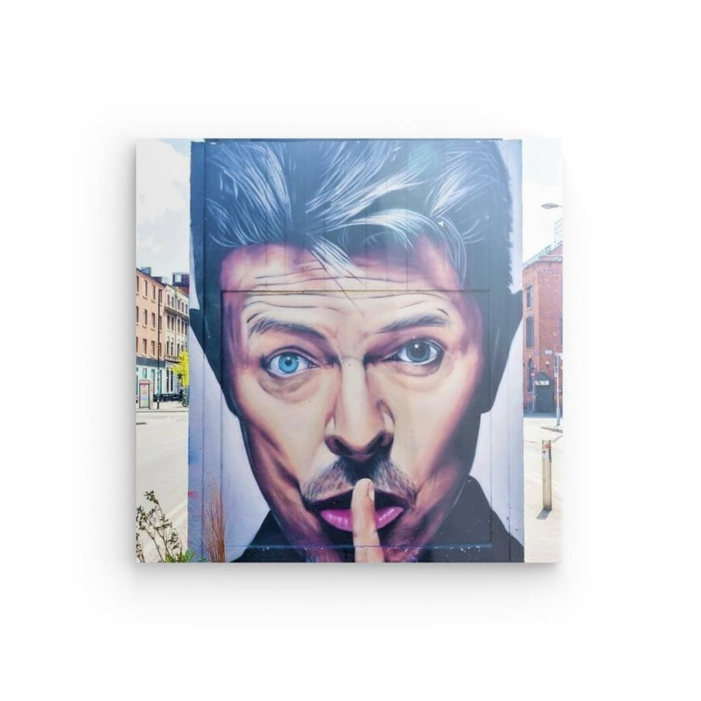 "David Bowie 3" on metal &amp; acrylic glass