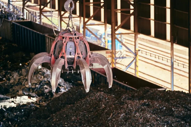 Red Claw Crab: Meaning, Style, History, and Visual Guide